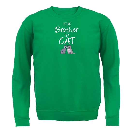 My Big Brother Is A Cat Jumpers