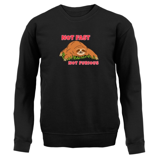 Not Fast Not Furious Sloth Jumpers