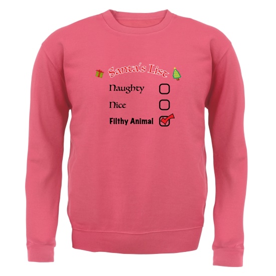 Santas Naughty List Filthy Jumpers