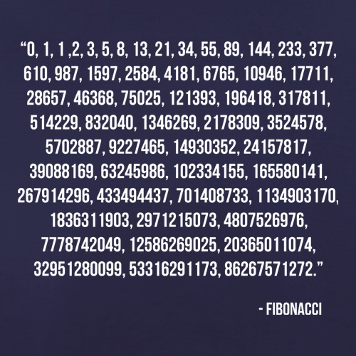 Fibonacci Quote t-shirts