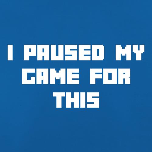 I Paused My Game For This t-shirts