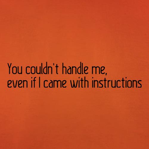 You Couldn't Handle Me, Even If I Came With Instructions t-shirts