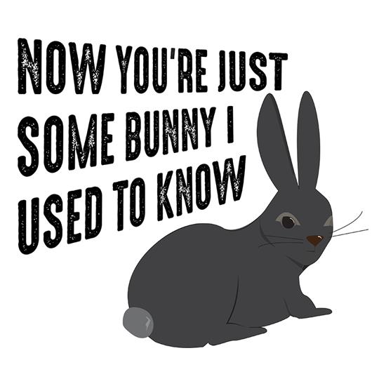 Now You're Just Some Bunny I Used To Know t-shirts