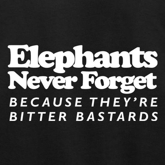 Elephants Never Forget Because They're Bitter Bastards Jumpers