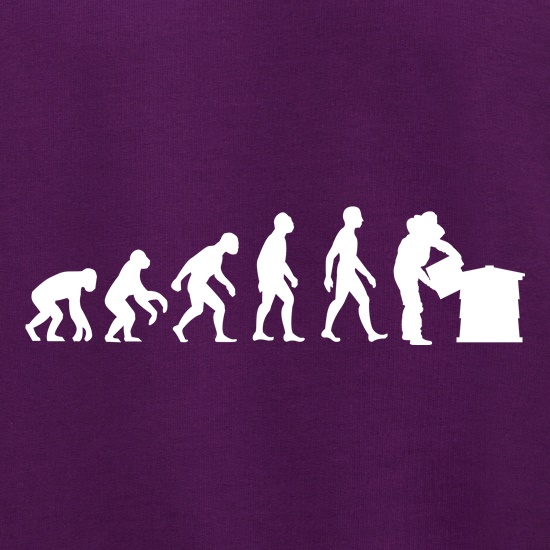 Evolution Of Man Bee Keeper Jumpers