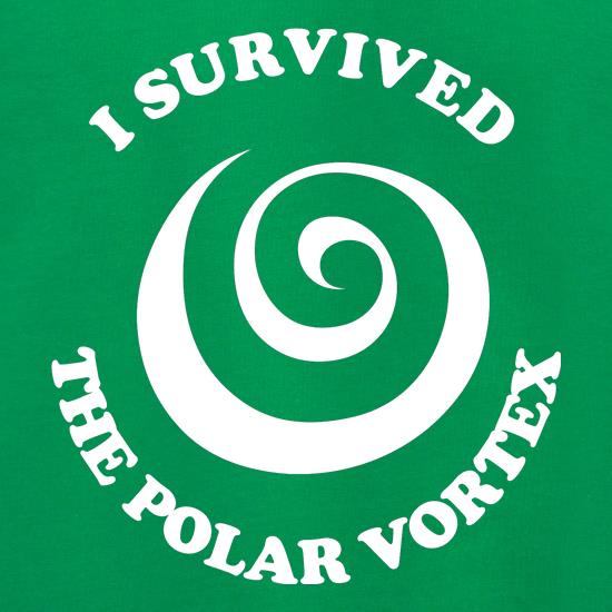 i survived the polar vortex Jumpers