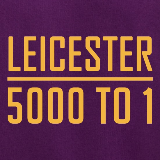 Leicester Odds 15/16 Jumpers