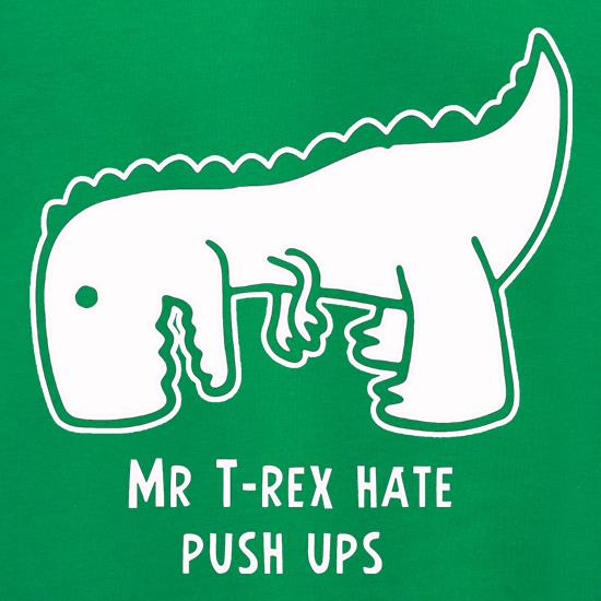 Mr T-Rex Hate Push Ups Jumpers