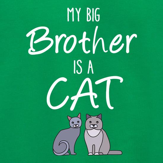My Big Brother Is A Cat Jumpers
