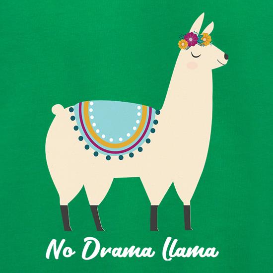 No Drama Llama Jumpers