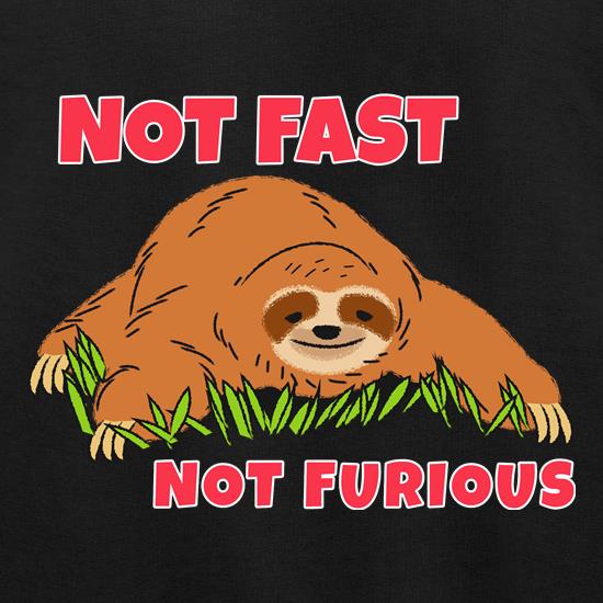 Not Fast Not Furious Sloth Jumpers