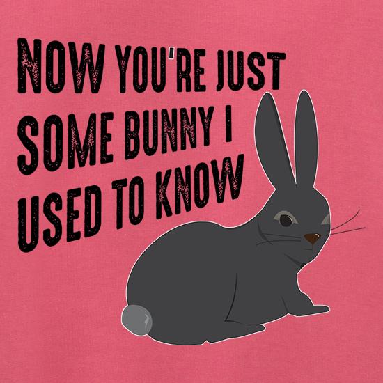 Now You're Just Some Bunny I Used To Know Jumpers