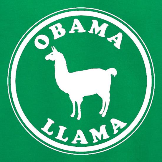 Obama Llama Jumpers