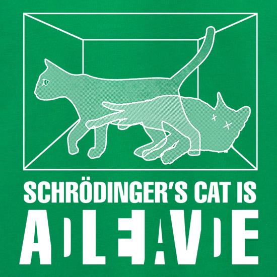 Schrodinger's Cat Box Jumpers