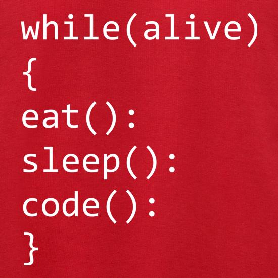 Eat, Sleep, Code Jumpers
