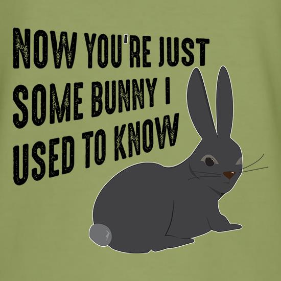 Now You're Just Some Bunny I Used To Know t-shirts