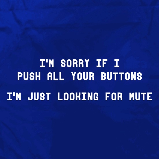 I'm Sorry If I Push All Your Buttons t shirt