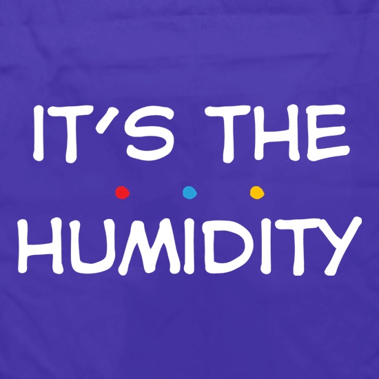 It's The Humidity t shirt