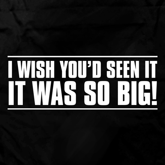 I Wish You'd Seen It. It Was So Big! t shirt
