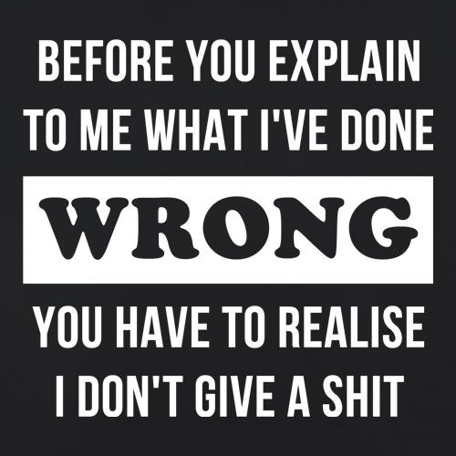 Before you explain to me what i've done wrong, you have to realise I don't give a shit t shirt