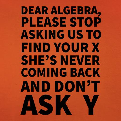 Dear Algebra t shirt