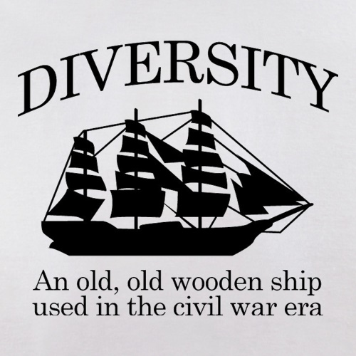Diversity - An Old Old Wooden Ship Used In The Civil War Era t shirt