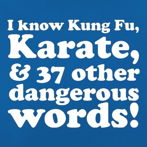 I know Kung Fu, Karate, & 37 other dangerous words! t shirt