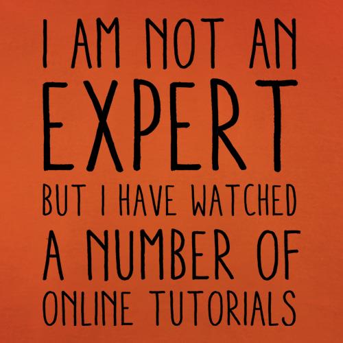 I'm Not An Expert But I Have Watched A Number Of Online Tutorials t shirt