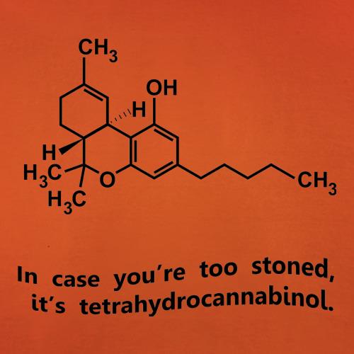 In case you're too stoned, it's tetrahydrocannabinol t shirt