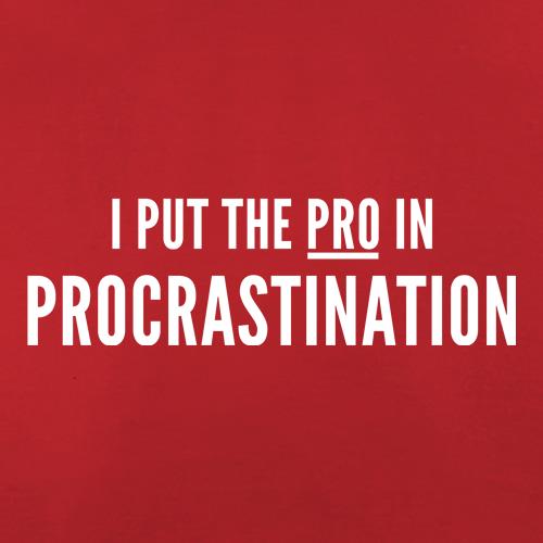 I Put The Pro In Procrastination t shirt