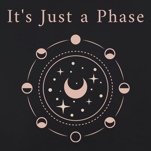It's Just a Phase t shirt