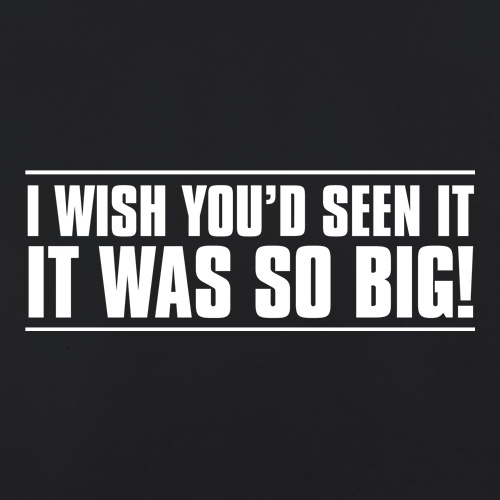 I Wish You'd Seen It. It Was So Big! t shirt