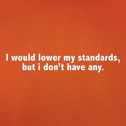 I Would Lower My Standards, But I Don't Have Any t shirt