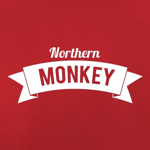 Northern Monkey t shirt