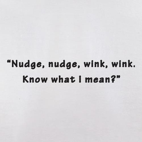 Nudge Nudge Wink Wink Know What I Mean? t shirt
