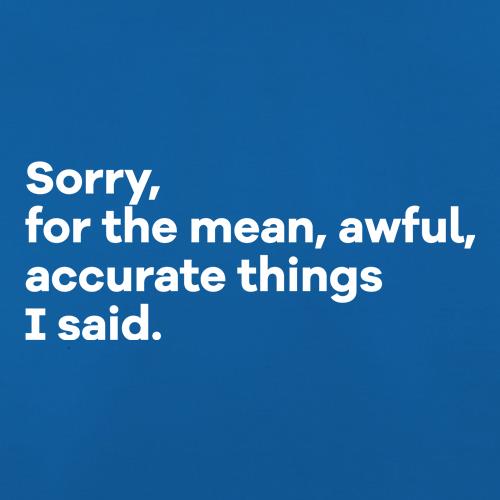 Sorry, For the Mean, Awful, Accurate Things I Said t shirt