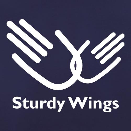 Sturdy Wings t shirt