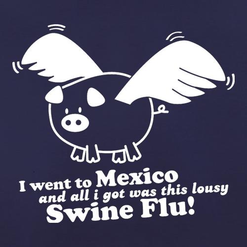 I Went To Mexico And All I Got Was This Lousy Swine Flu! t shirt