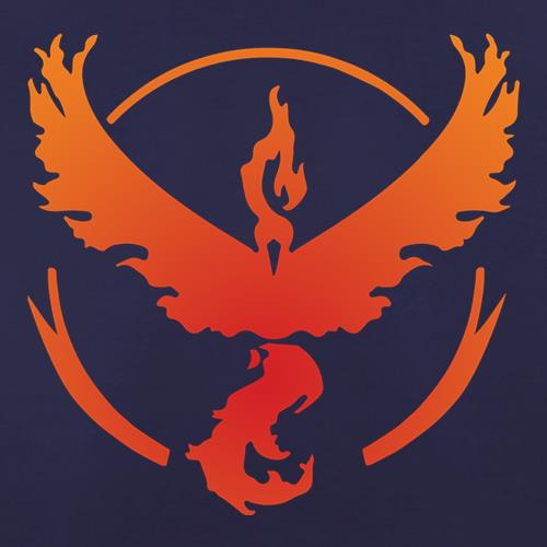 Team Valor t shirt