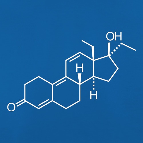 TetraHydroGestrinone t shirt