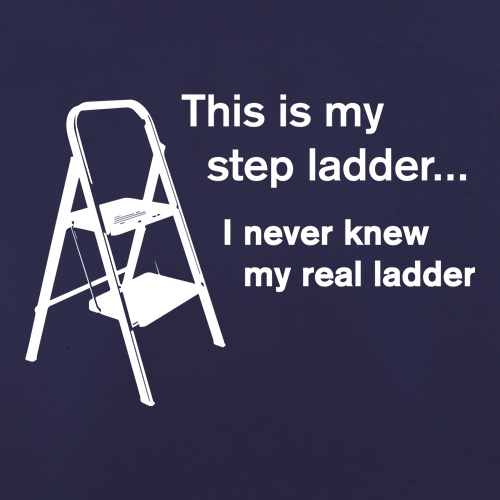 This Is My Step Ladder t shirt