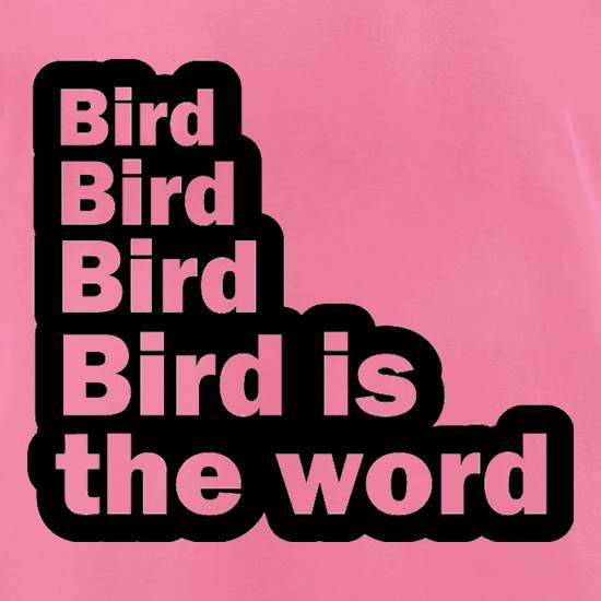 Bird Bird Bird Bird Is The Word t shirt