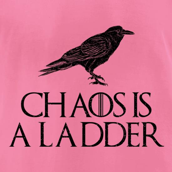 Chaos is a Ladder t shirt