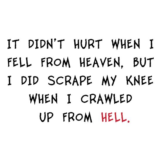 It Didn't Hurt When I Fell From Heaven t shirt