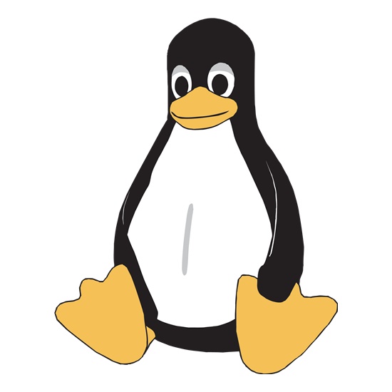 Linux Tux Logo t shirt