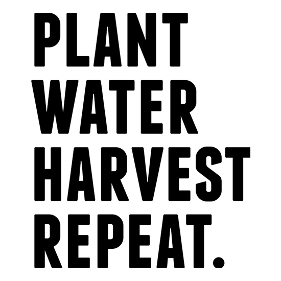 Plant, Water, Harvest, Repeat. t shirt
