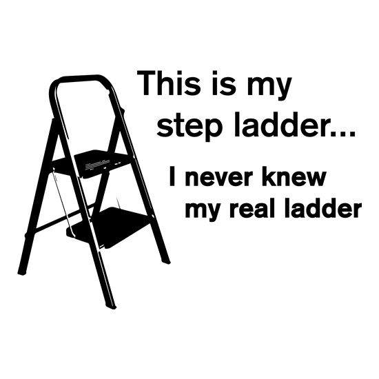 This Is My Step Ladder t shirt