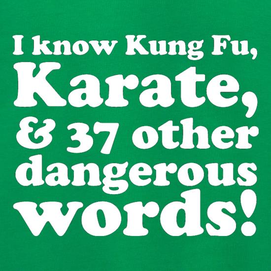I know Kung Fu, Karate, & 37 other dangerous words! t shirt