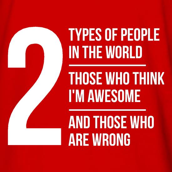 2 types of people in this world, those who think I'm awesome and those who are wrong t shirt