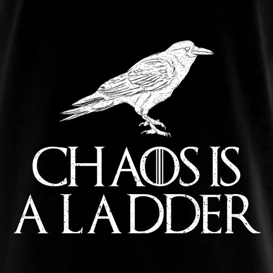 Chaos is a Ladder t shirt